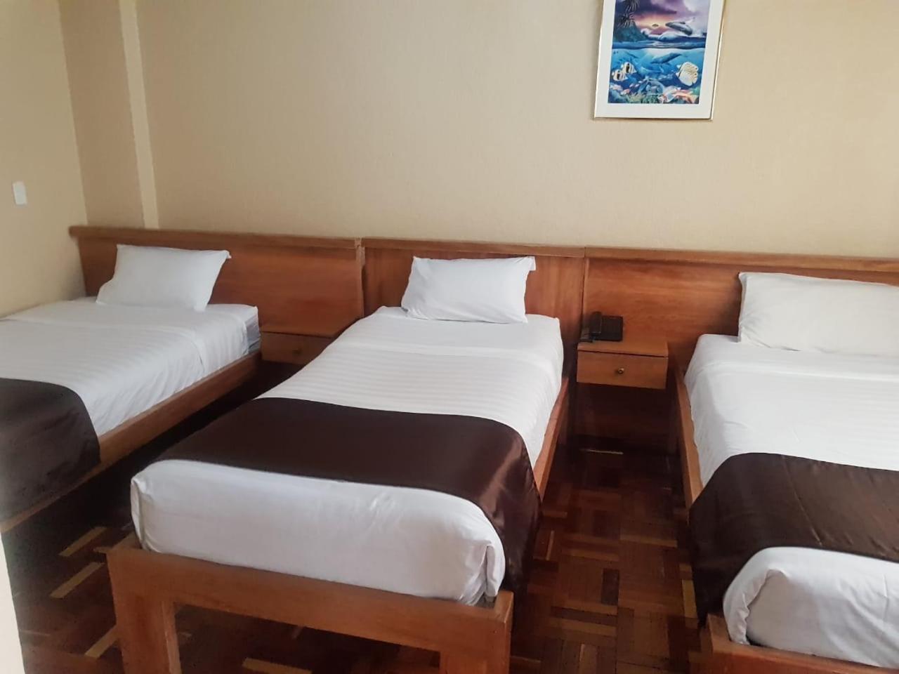 Hostal Loro Verde 基多 外观 照片