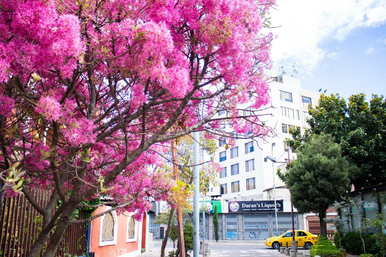 Hostal Loro Verde 基多 外观 照片