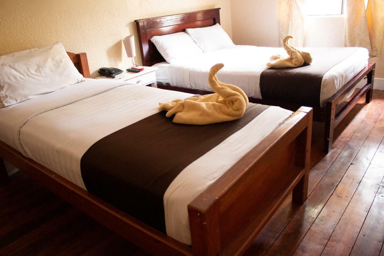Hostal Loro Verde 基多 外观 照片